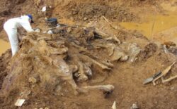 Ekshumacija na Jabučkom Sedlu, pronađeni posmrtni ostaci najmanje tri žrtve