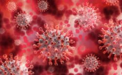 Studija: Imunitet kod osoba koje su preboljele virus traje i šest mjeseci nakon