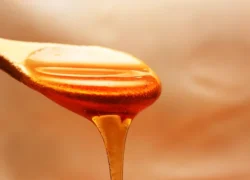 Šta se dešava sa organizmom ako svaki dan uzmete kašiku meda: 7 dobrobiti za zdravlje