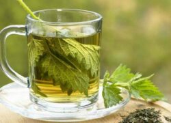 Čaj od koprive je pravo čudo: Pomaže kod anemije i čisti organizam, ali samo ako se ovako spremi