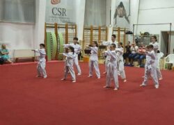 Besplatni škola taekwondoa za djecu općine Centar Sarajevo